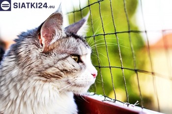 Siatki Polkowice - Siatka na balkony dla kota i zabezpieczenie dzieci dla terenów Polkowic