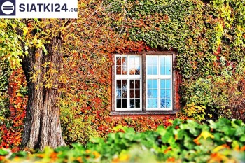 Siatki Polkowice - Siatka wspomagająca wzrost roślin pnących na ścianie dla terenów Polkowic