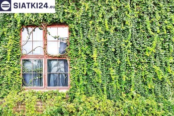 Siatki Polkowice - Siatka z dużym oczkiem - wsparcie dla roślin pnących na altance, domu i garażu dla terenów Polkowic